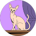 Michela Cola