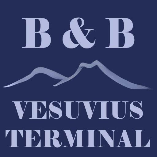 Vesuvius Terminal logo